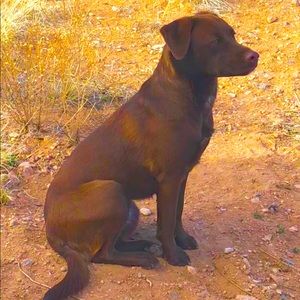 Meet your Posher, Rachel